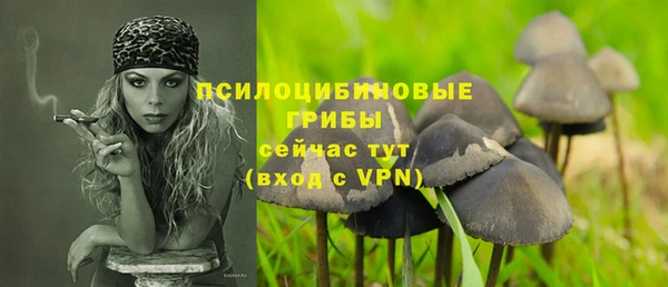 тгк Беломорск