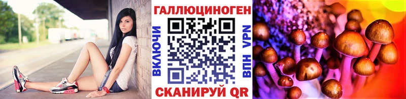 Псилоцибиновые грибы MAGIC MUSHROOMS Купить закладки Егорьевск
